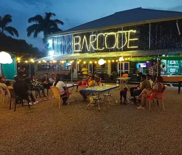 Barcode Mama Afrika Foods
