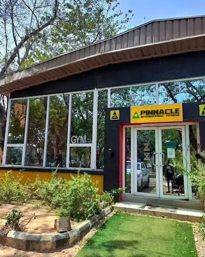Pinnacle International Fitness