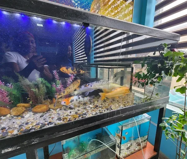 Afshin Aquatics