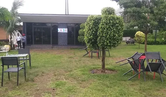 Fun Alleyy